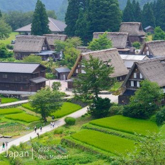 2023 沃醫學員工旅遊 - 日本賞楓